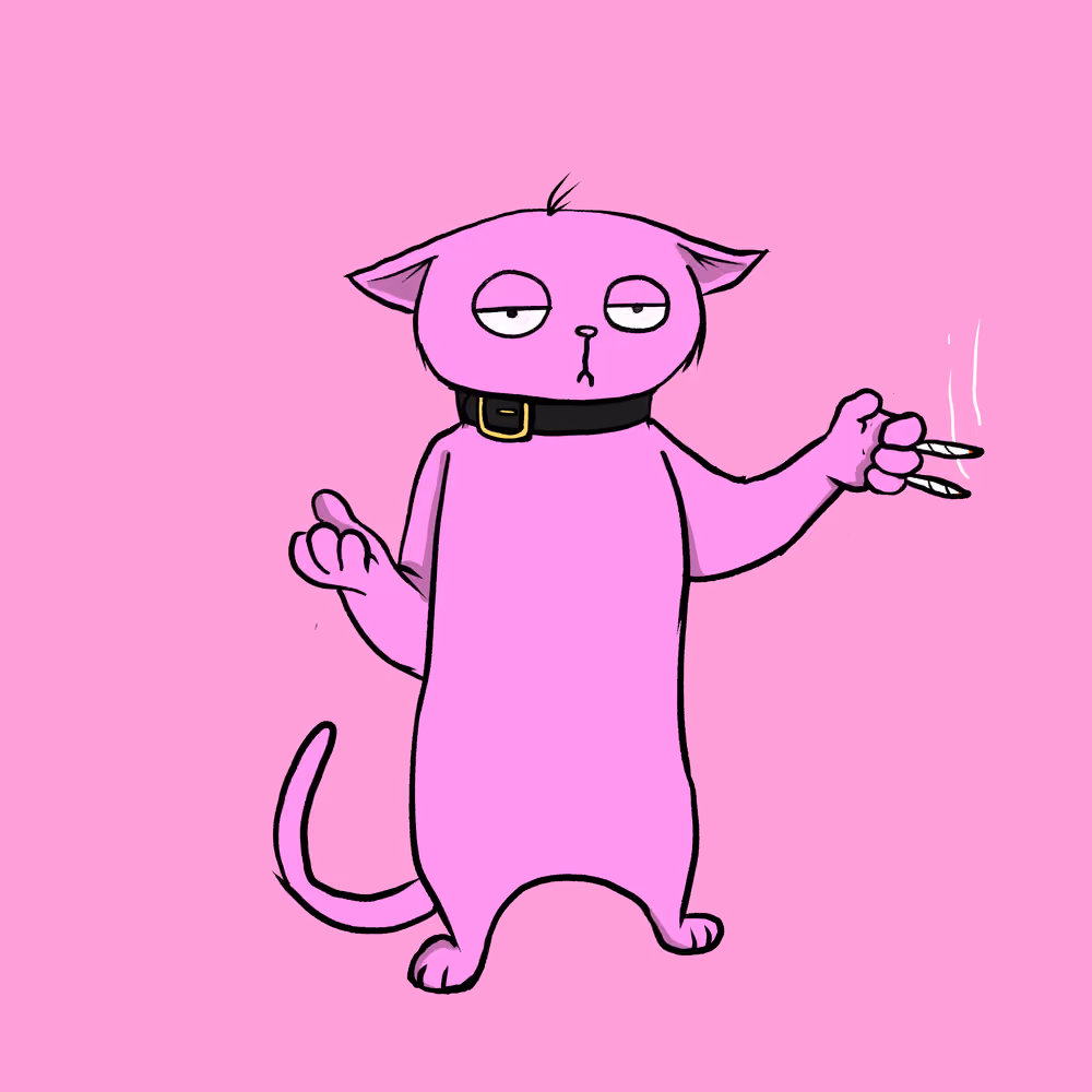 Blazed Cat #14
