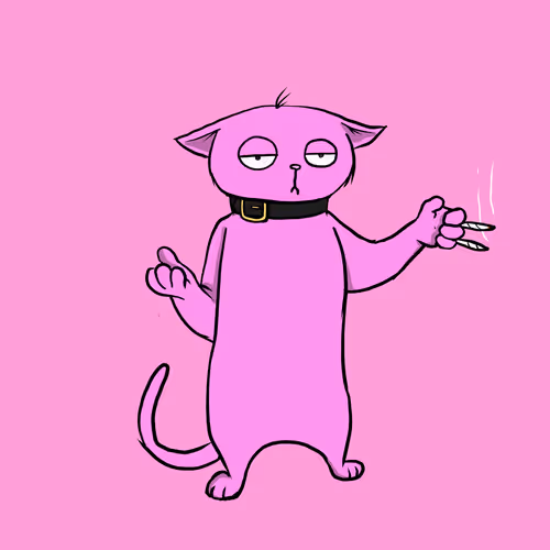 Blazed Cat #14