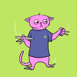 Blazed Cat #1351