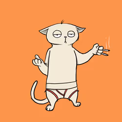 Blazed Cat #7328