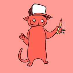 Blazed Cat #7552