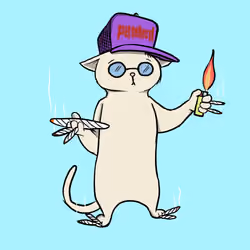 Blazed Cat #2605