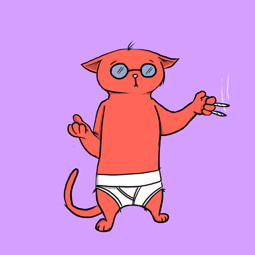 Blazed Cat #4917