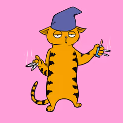 Blazed Cat #2383