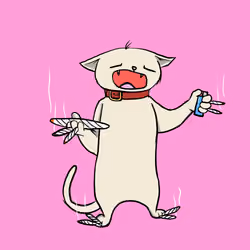 Blazed Cat #2025