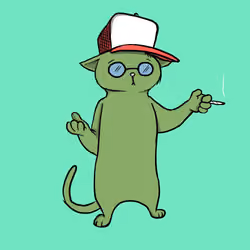Blazed Cat #6990