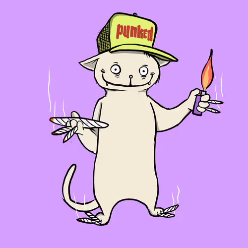 Blazedcats