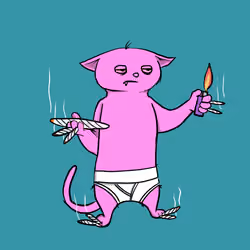 Blazed Cat #7744