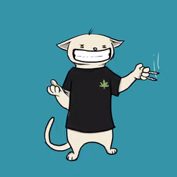 Blazed Cat #2682