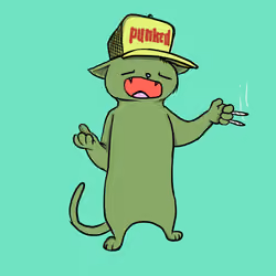 Blazed Cat #1073