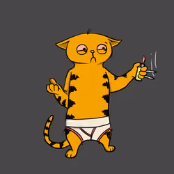 Blazed Cat #7571