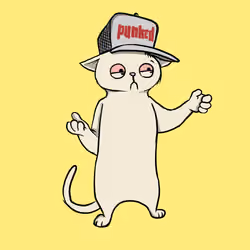 Blazed Cat #6856