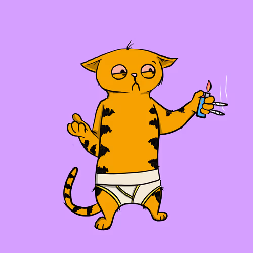 Blazed Cat #6711