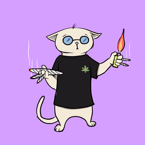 Blazed Cat #6805