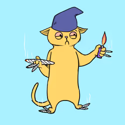 Blazed Cat #5920