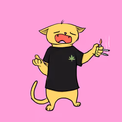 Blazed Cat #8981