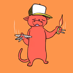 Blazed Cat #9838