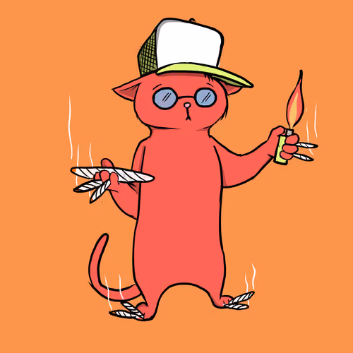 Blazed Cat #5295