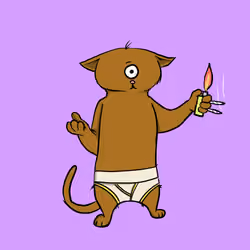 Blazed Cat #2626