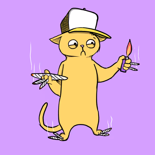 Blazed Cat #1844