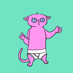 Blazed Cat #2624