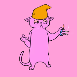 Blazed Cat #7515