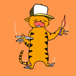 Blazed Cat #6804