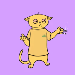 Blazed Cat #9216