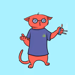 Blazed Cat #288