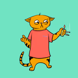 Blazed Cat #3911