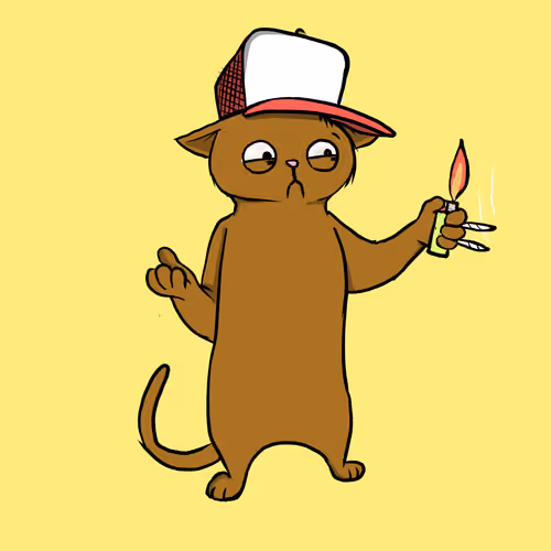 Blazed Cat #4089