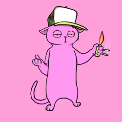 Blazed Cat #1081