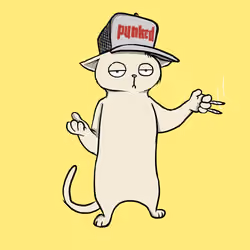 Blazed Cat #3269