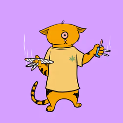 Blazed Cat #6175