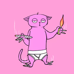 Blazed Cat #9429