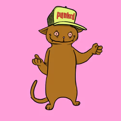 Blazed Cat #5037