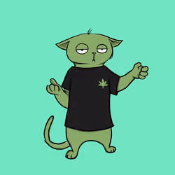 Blazed Cat #6648