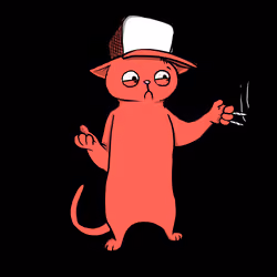Blazed Cat #3290