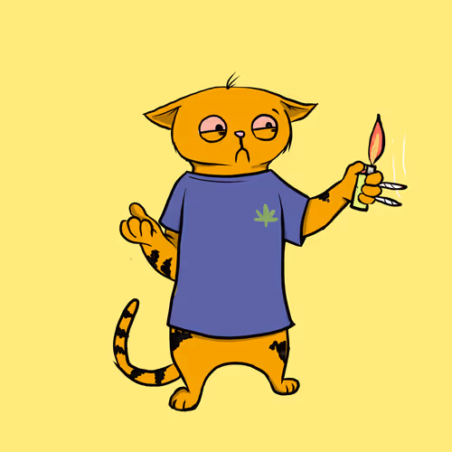 Blazed Cat #2021