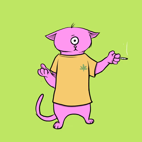 Blazed Cat #8273