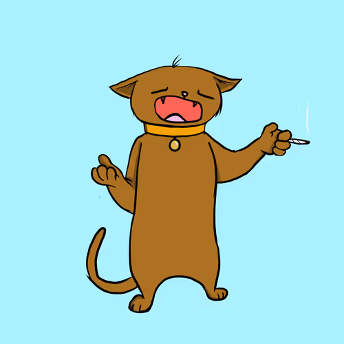 Blazed Cat #3189