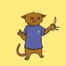 Blazed Cat #2291