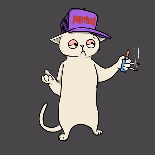 Blazed Cat #2578