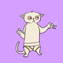 6293