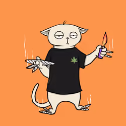 Blazed Cat #4218