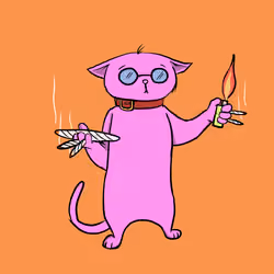 Blazed Cat #4542