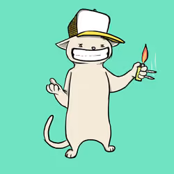Blazed Cat #6356