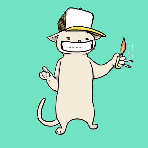Blazed Cat #6356