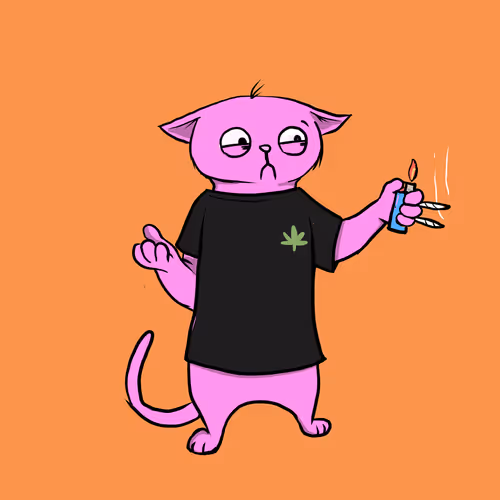 Blazed Cat #30