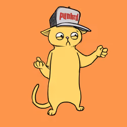 Blazed Cat #6725